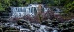 Liffey Falls In The Midlands Region, Tasmania Stock Photo