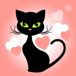 Cat Hearts Means In Love And Kittens Stock Photo