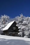 Snowy tree and house Stock Photo