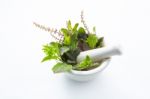 Holy Basil  Leaves In Porcelain Mortar On White Wooden Backgroun Stock Photo