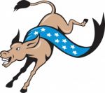 Donkey Jackass Jumping Democrat Stock Photo