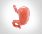 Human Stomach 3d Illustration In Digital Background Stock Photo