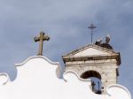 Faro, Southern Algarve/portugal - March 7 : Storks  At Faro In P Stock Photo