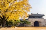 Autumn In Gyeongbokgung Palace,south Korea Stock Photo