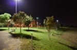 Night Public Park In The City With Houses Near Stock Photo