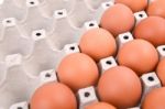 Eggs In Paper Tray Stock Photo