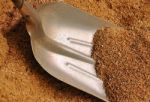 Sawdust Stock Photo