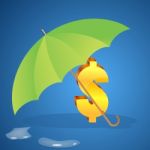 Dollar Sign Under Umbrella Stock Photo