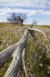 Rural Countryside Stock Photo