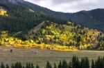 Autumn Colours In Wyoming Stock Photo