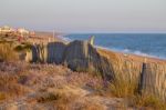 Sand Dunes Of Faro Beach Stock Photo