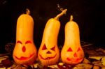 Original Decorations With Long Neck Pumpkins Halloween Stock Photo