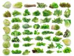 Vegetables Collection Isolated On White Background Stock Photo