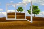 Tree In Plowed Fields Stock Photo