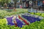 East Grinstead In Bloom Stock Photo