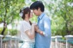 Loving Asian Couple Under Tree Stock Photo