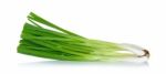 Green Onion Isolated On The White Background Stock Photo