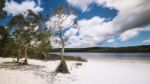 Brown Lake On Stradbroke Island, Queensland Stock Photo