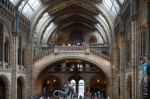 People Exploring  The National History Museum In London Stock Photo