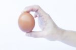 Hand Holding Egg Isolated On White Background Stock Photo