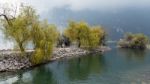 Willow Trees On The Shore At Riva Del Garda Stock Photo