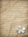 Old Brown Grunge Letter Paper Stock Photo