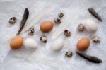 Poultry Eggs Flat Lay Still Life With Food Stylish Stock Photo