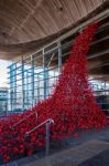 Cardiff/uk - August 27 : Poppies Pouring Out Of The Welsh Assemb Stock Photo