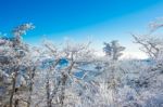 Deogyusan Mountains In Winter, Korea Stock Photo