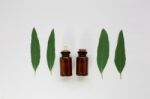 Eucalyptus Oil Bottle With  Leaves On White Background Stock Photo