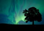 Alone Tree In The Field With Clouds Stock Photo