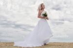 Bride At Snapper Rock Beach In New South Wales Stock Photo