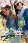 Two Beautiful Young Women With A Vintage Bike In The Field Stock Photo