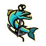 Barracuda And Anchor Mascot Stock Photo