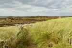 Dune Stock Photo