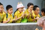 Primary Students Visit The Zoo, In The Jul 27, 2016. Bangkok Thailand Stock Photo