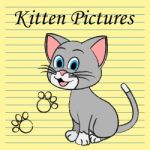 Kitten Pictures Indicates Feline Images And Photos Stock Photo