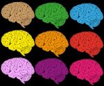 Colorful Brain Stock Photo