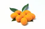 Mayongchid , Mayongchit Marian Plum, Gandaria, Plum Mango Stock Photo