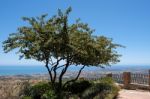 Mijas, Andalucia/spain - July 3 : View From Mijas In  Andalucia Stock Photo