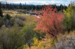 Autumn Colours In Wyoming Stock Photo