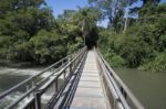 Footbridge Over The River In The Jungle Stock Photo