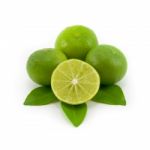 Green Lime Stock Photo