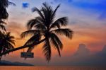 Palm Trees Silhouettes On The Colorful Sky Background Stock Photo