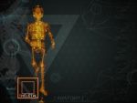 3d Illustration Of  Walking Fire Skeleton By X-rays On Backgroun Stock Photo