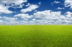 Green Field And Sky Stock Photo