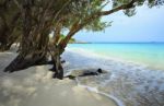 Quiet And Peaceful White Sand Beach Of Koh Samed Rayong Province Stock Photo