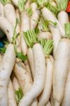 Radishes Closeup Detail Stock Photo