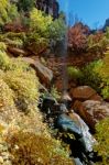 Colourful Autumn Foliage And Waterfall In Zion Stock Photo