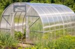 Plastic Greenhouse For Growing Vegetables Stock Photo